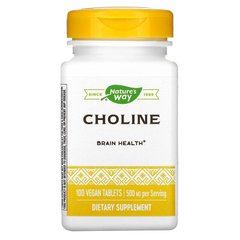 Холін, Choline, Nature's Way, 500 мг, 100 таблеток - фото